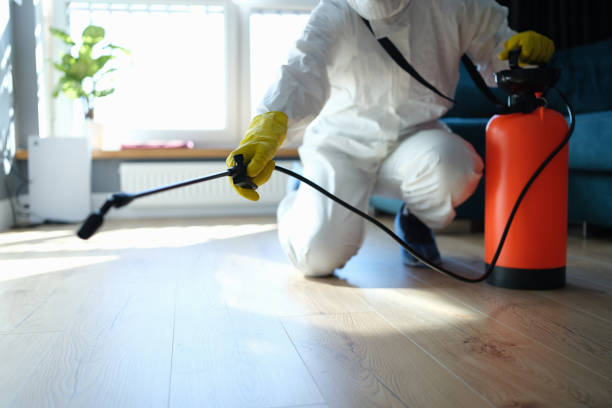 Reliable Sewage Cleanup contractor in Eldorado, OH by Trauma Clean Pros